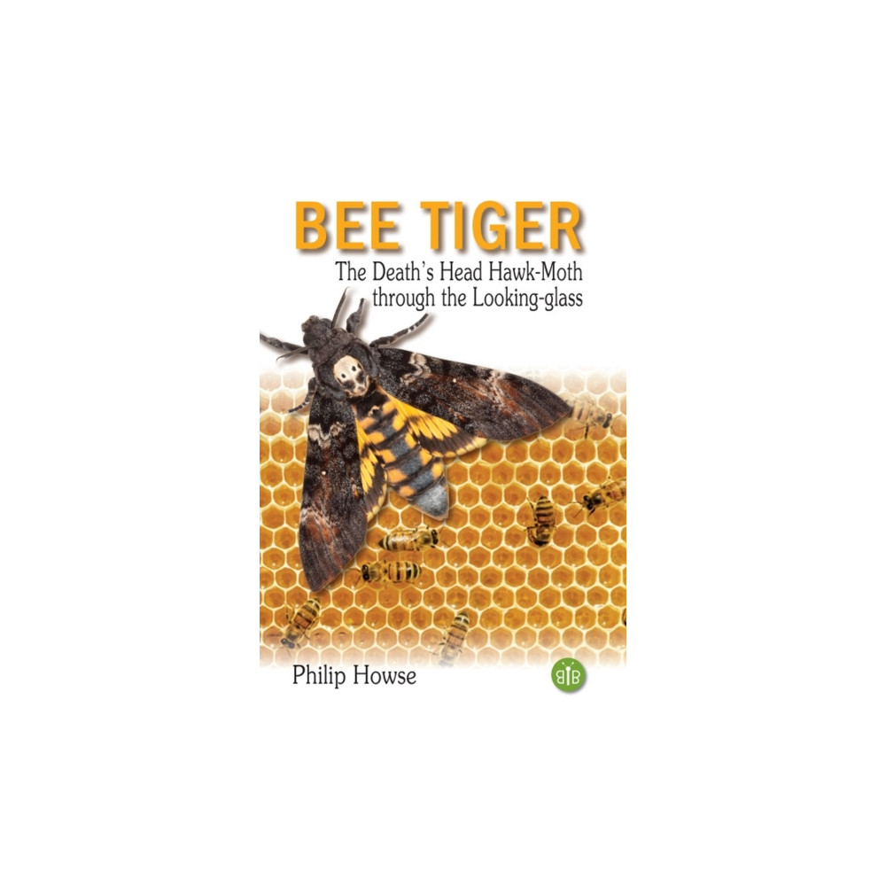 Produktbild för Bee Tiger (inbunden, eng)
