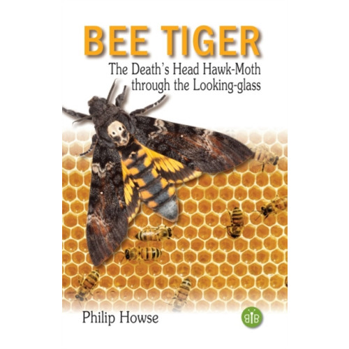 Brambleby Books Bee Tiger (inbunden, eng)