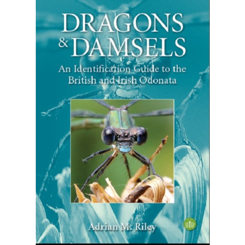 Brambleby Books Dragons and Damsels (häftad, eng)