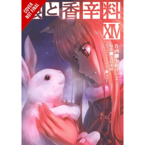 Little, Brown & Company Spice and Wolf, Vol. 14 (manga) (häftad, eng)