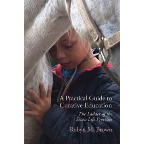 SteinerBooks, Inc A Practical Guide to Curative Education (häftad, eng)