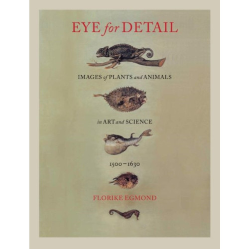 Reaktion Books Eye for Detail (inbunden, eng)