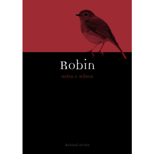 Reaktion Books Robin (häftad, eng)