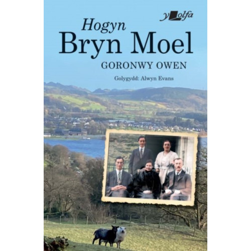 Y Lolfa Hogyn Bryn Moel (häftad, wel)