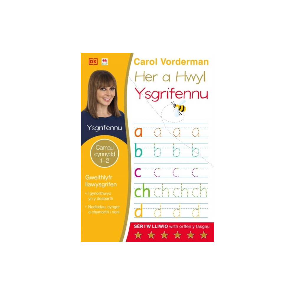 Produktbild för Her a Hwyl: 2. Ysgrifennu (häftad, wel)