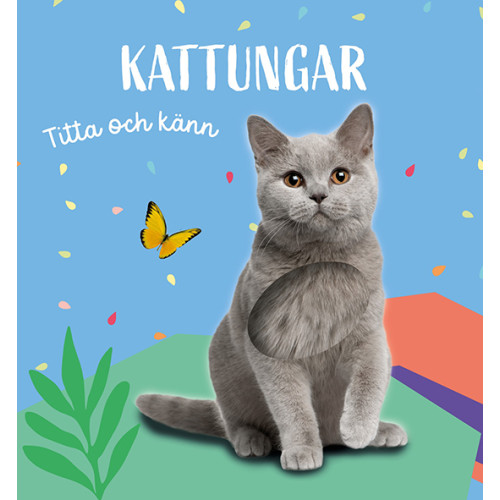 Tukan Förlag Titta och känn. Kattungar (bok, board book)