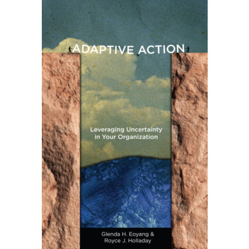 Stanford university press Adaptive Action (häftad, eng)