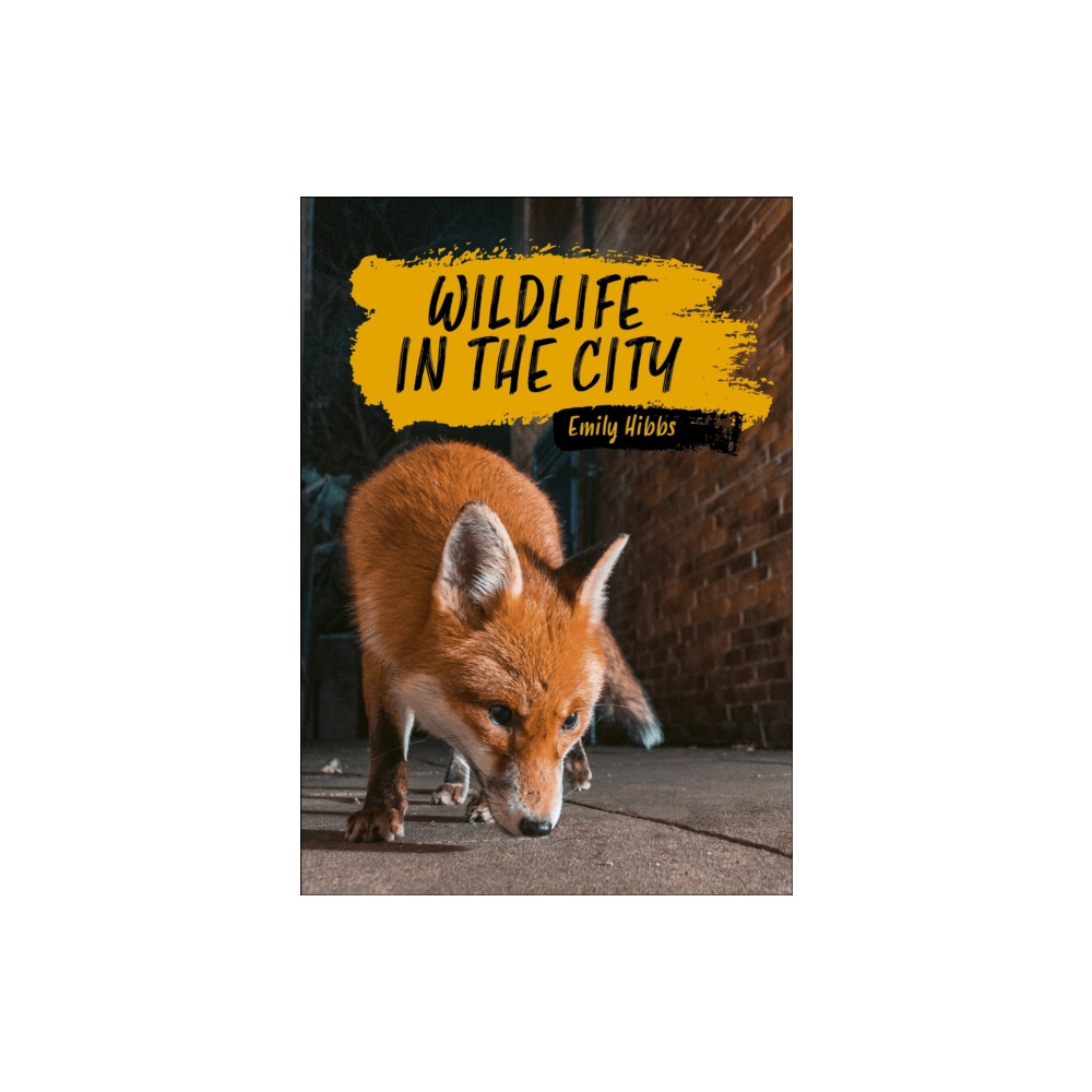 Produktbild för Reading Planet KS2: Wildlife in the City - Earth/Grey (häftad, eng)