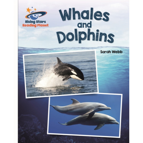 Rising Stars UK Ltd Reading Planet - Whales and Dolphins - White: Galaxy (häftad, eng)