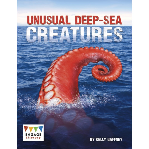 Capstone Global Library Ltd Unusual Deep-sea Creatures (häftad, eng)