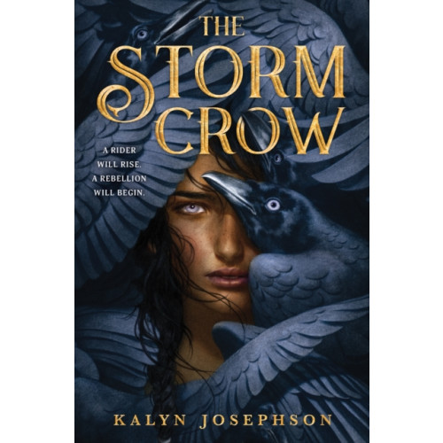 Sourcebooks, Inc The Storm Crow (häftad, eng)