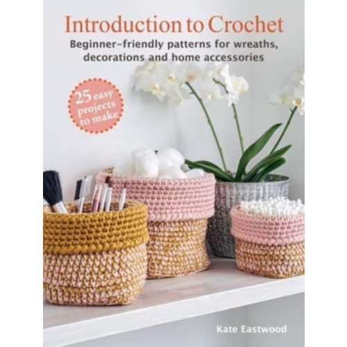 Ryland, Peters & Small Ltd Introduction to Crochet: 25 easy projects to make (häftad, eng)