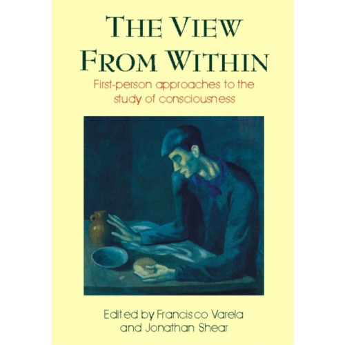 View from Within , Imprint Academic (häftad, english)
