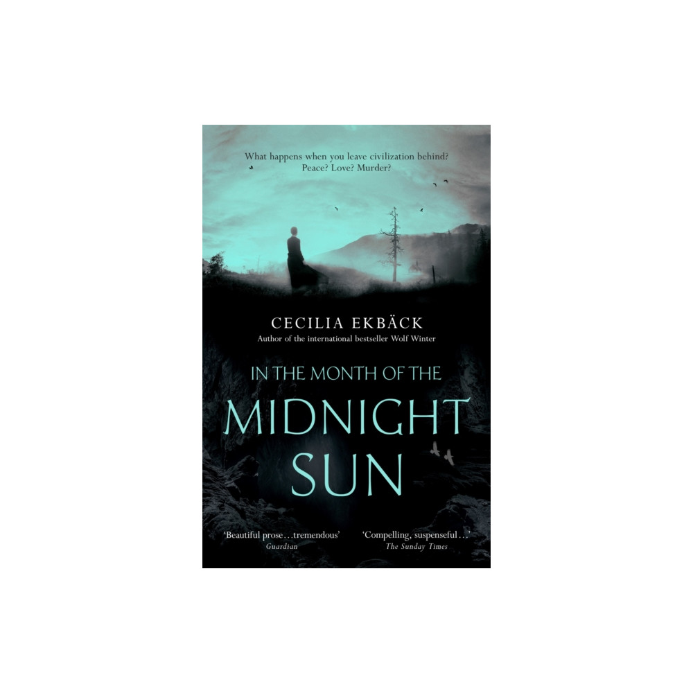 Produktbild för In the Month of the Midnight Sun (häftad, eng)