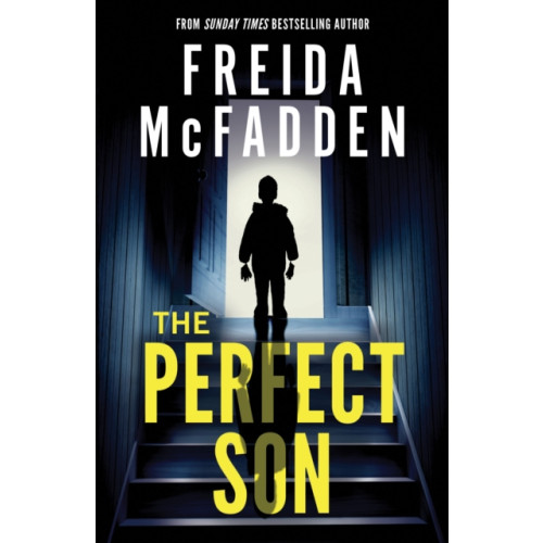 Sourcebooks, Inc The Perfect Son (häftad, eng)