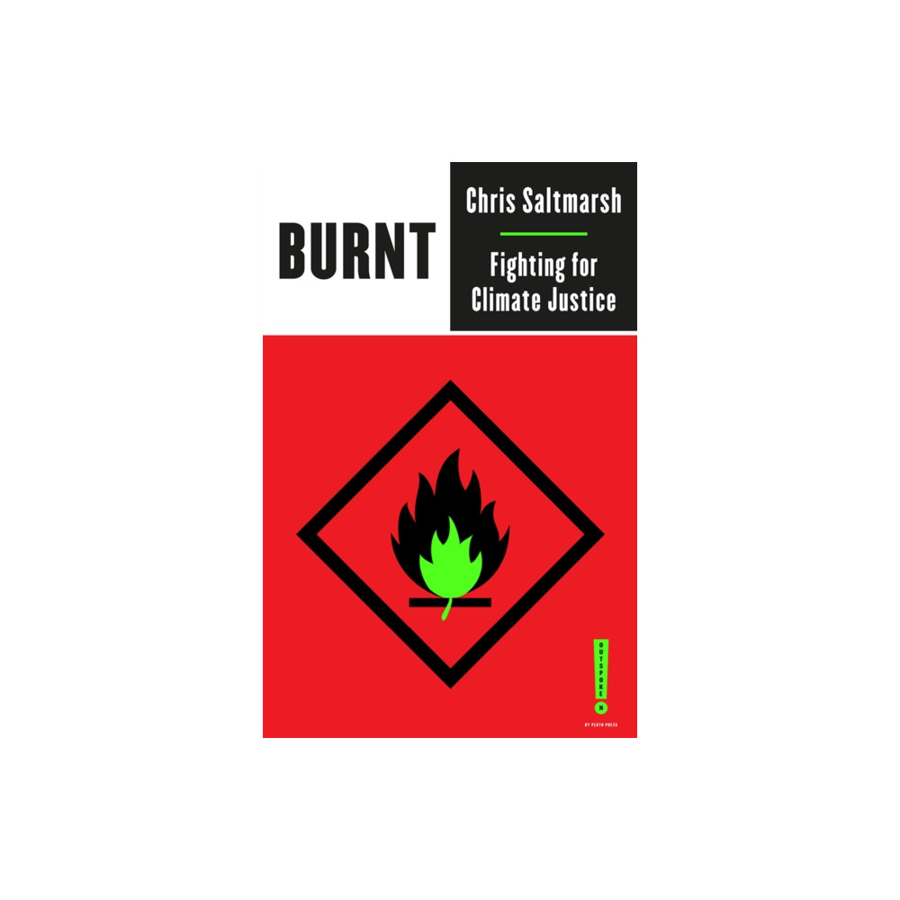 Produktbild för Burnt (häftad, eng)