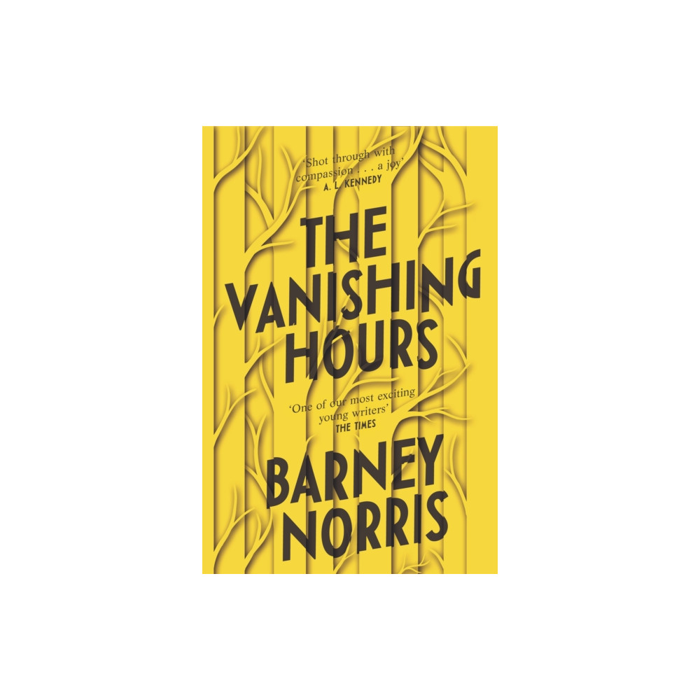 Produktbild för The Vanishing Hours (häftad, eng)