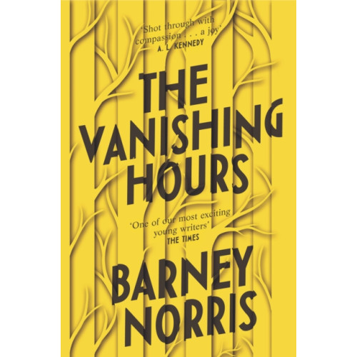 Transworld publishers ltd The Vanishing Hours (häftad, eng)