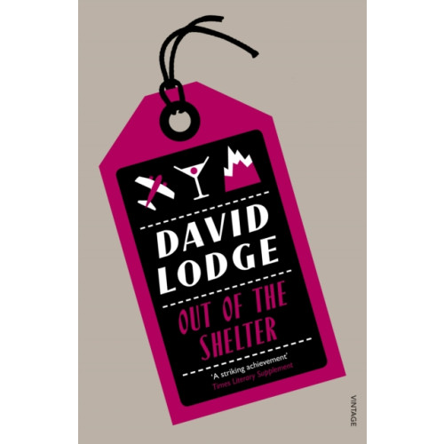 Vintage Publishing Out Of The Shelter (häftad, eng)