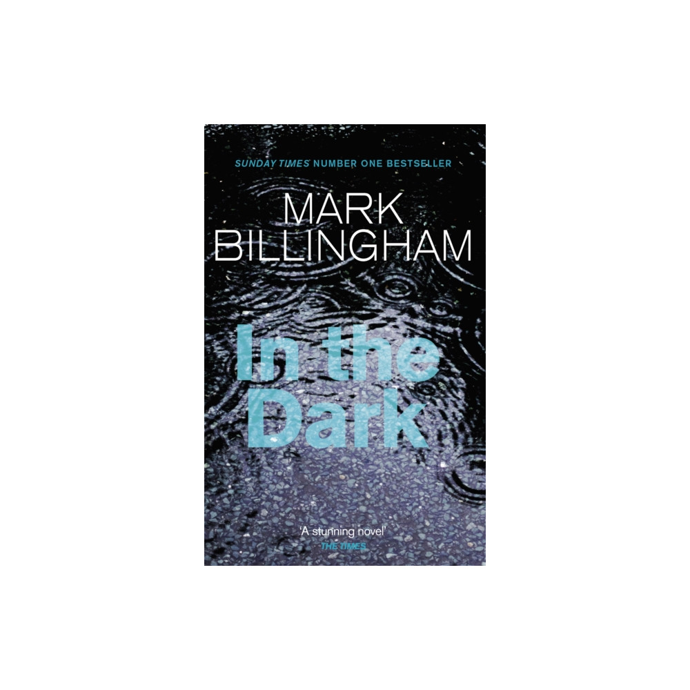 Produktbild för In The Dark (häftad, eng)