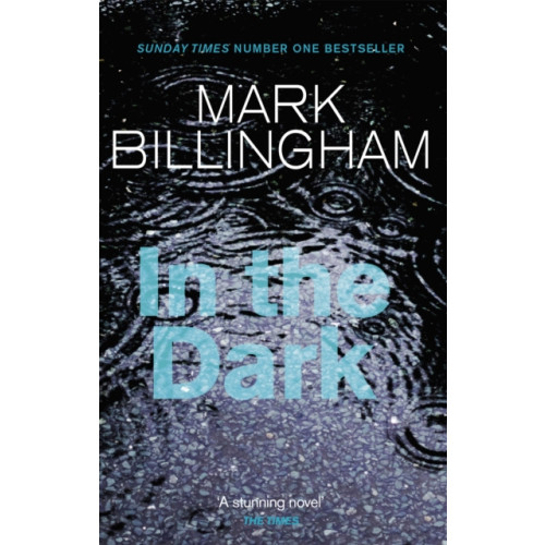 Little, Brown Book Group In The Dark (häftad, eng)