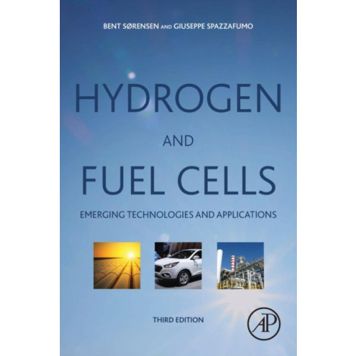 Elsevier Science & Technology Hydrogen and Fuel Cells (häftad, eng)