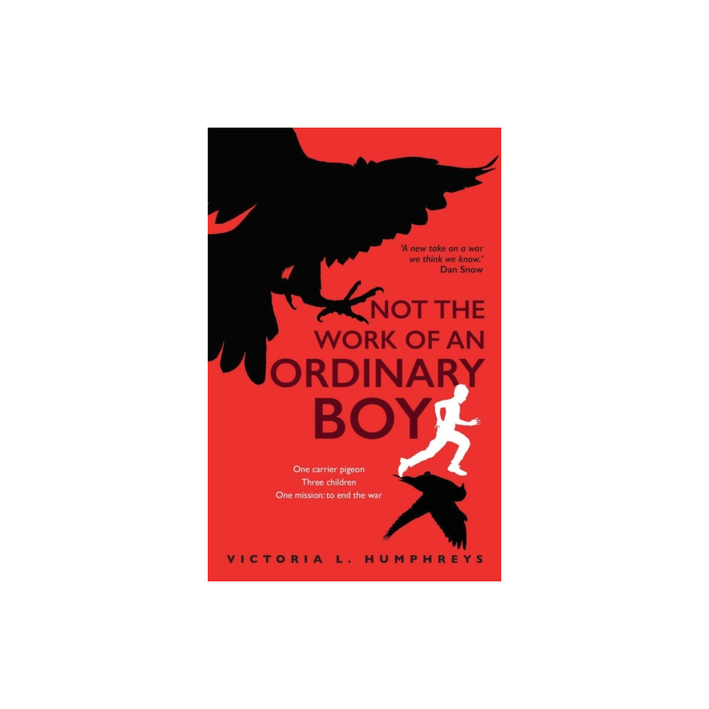 Produktbild för Not the Work of an Ordinary Boy (häftad, eng)