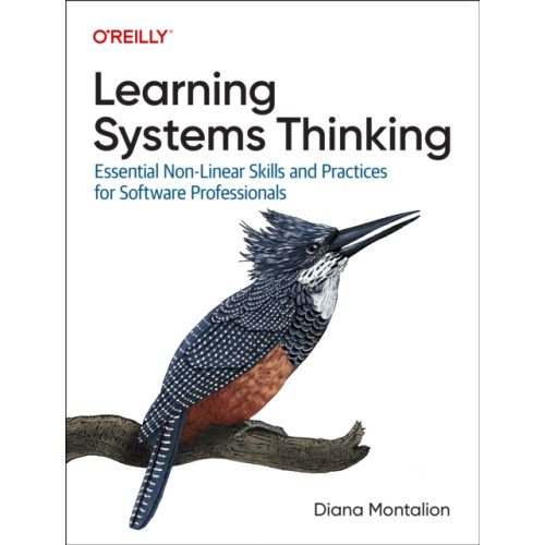 O'Reilly Media Learning Systems Thinking (häftad, eng)