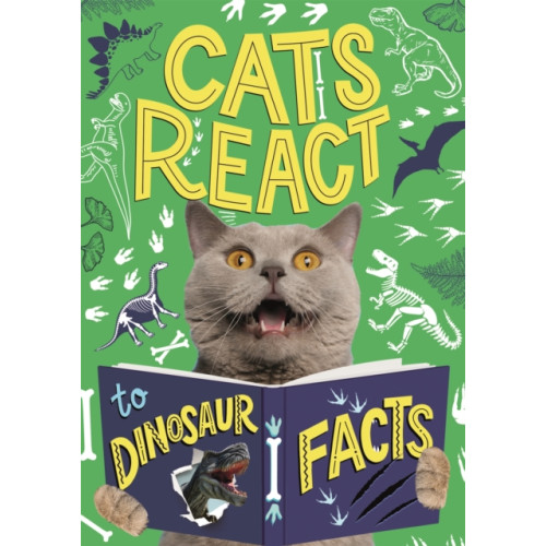 Hachette Children's Group Cats React to Dinosaur Facts (häftad, eng)