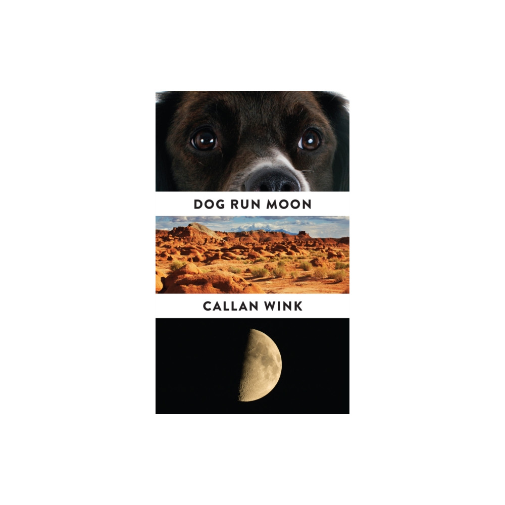 Produktbild för Dog Run Moon (häftad, eng)