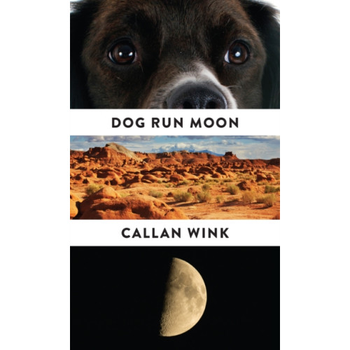 Granta Books Dog Run Moon (häftad, eng)