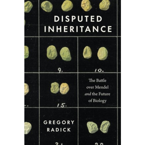 The university of chicago press Disputed Inheritance (inbunden, eng)