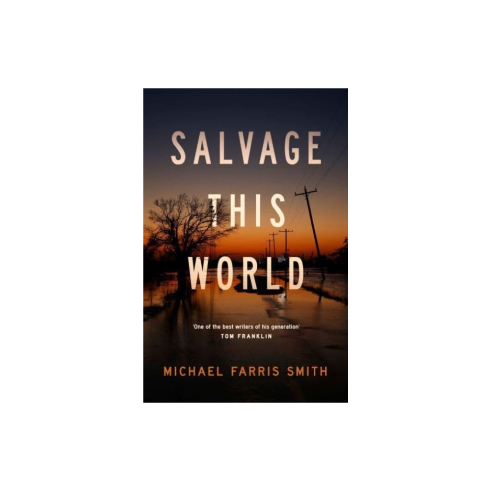Produktbild för Salvage This World (häftad, eng)