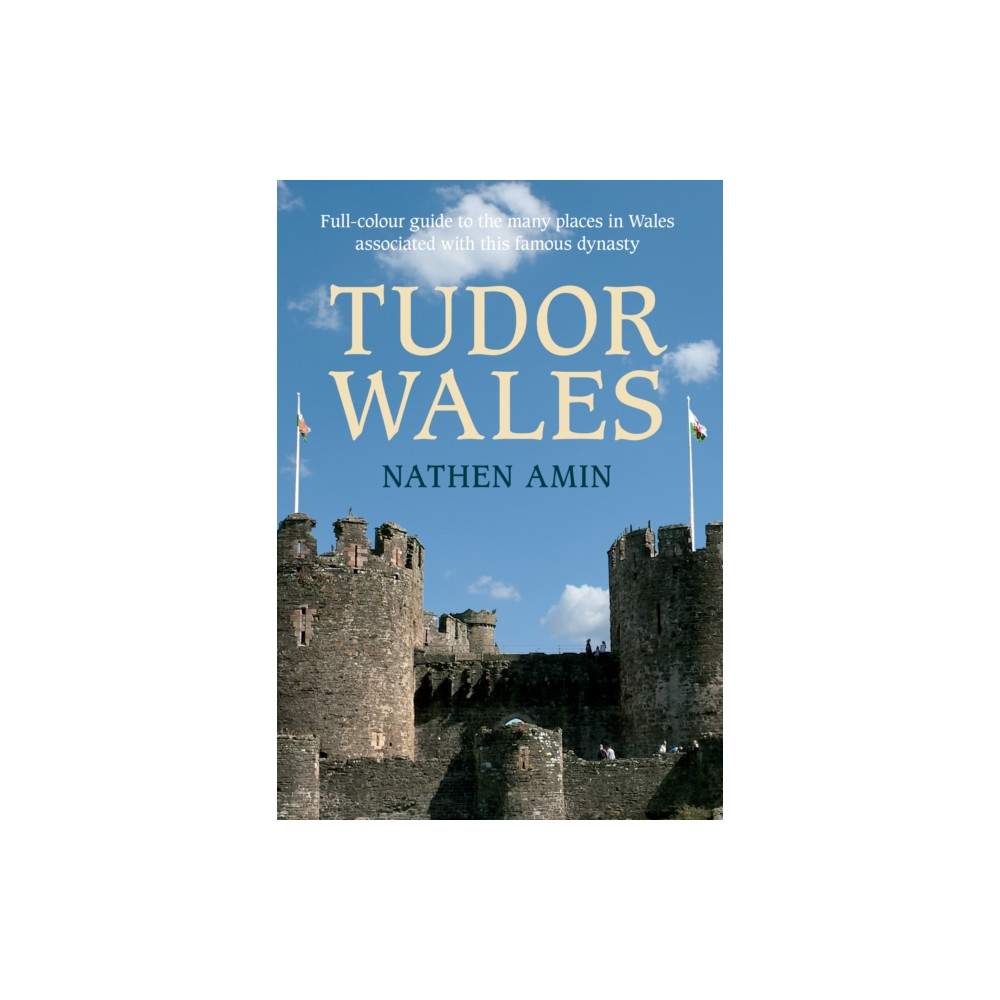 Produktbild för Tudor Wales (häftad, eng)