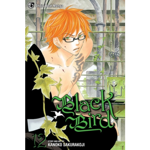 Viz Media, Subs. of Shogakukan Inc Black Bird, Vol. 12 (häftad, eng)