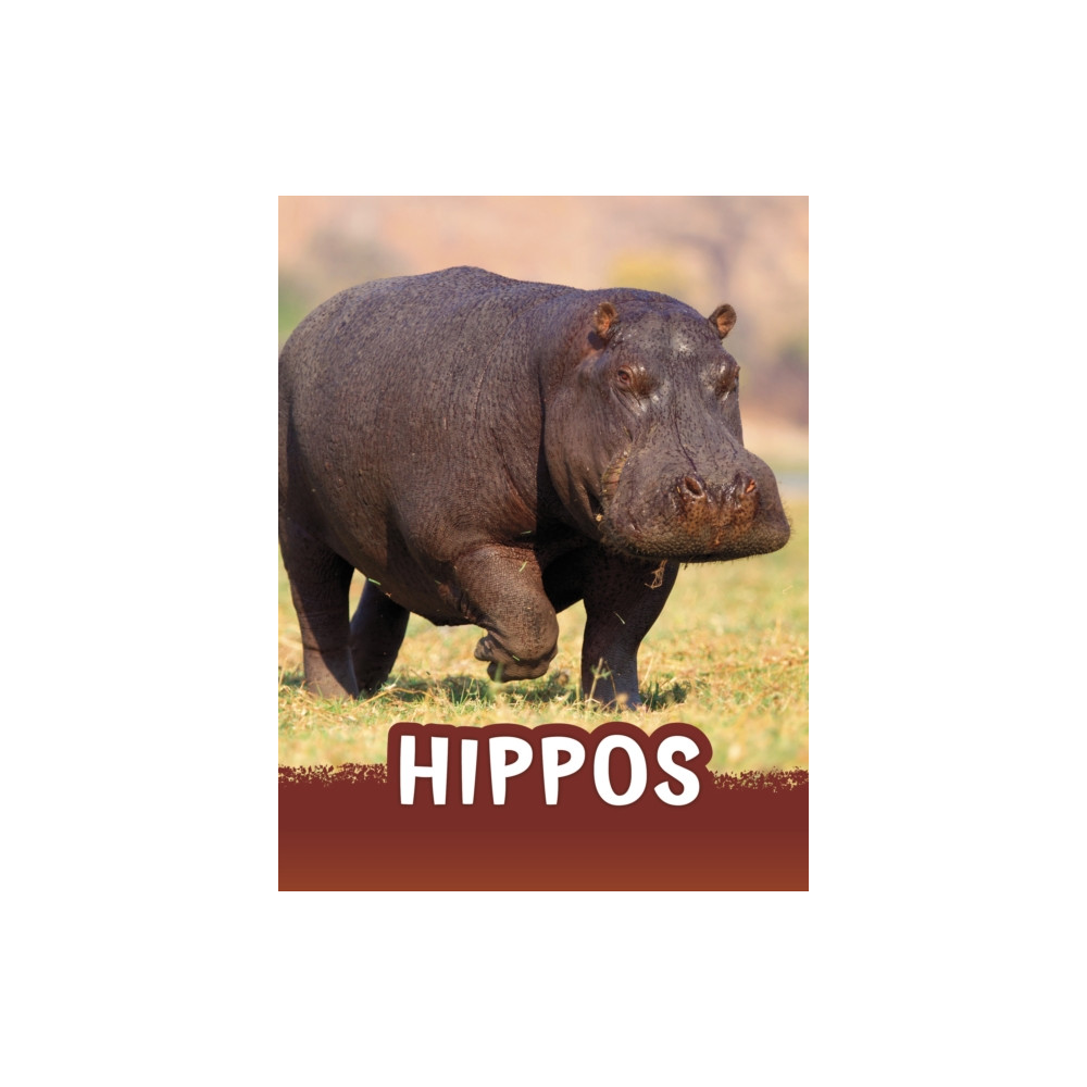 Produktbild för Hippos (häftad, eng)