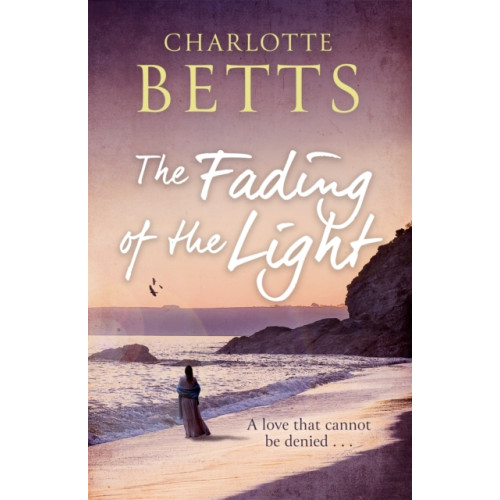 Little, Brown Book Group The Fading of the Light (häftad, eng)