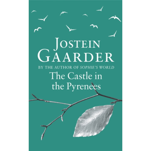 Orion Publishing Co The Castle in the Pyrenees (häftad, eng)
