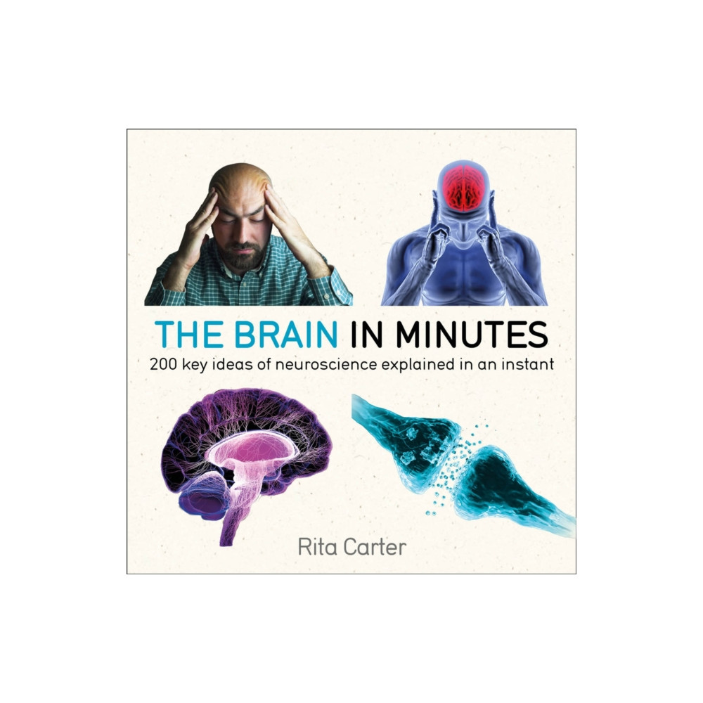 Produktbild för The Brain in Minutes (häftad, eng)