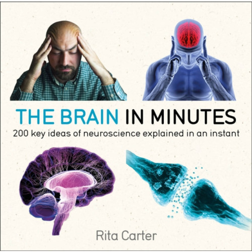Quercus Publishing The Brain in Minutes (häftad, eng)