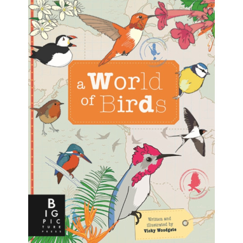 Templar Publishing A World of Birds (inbunden, eng)