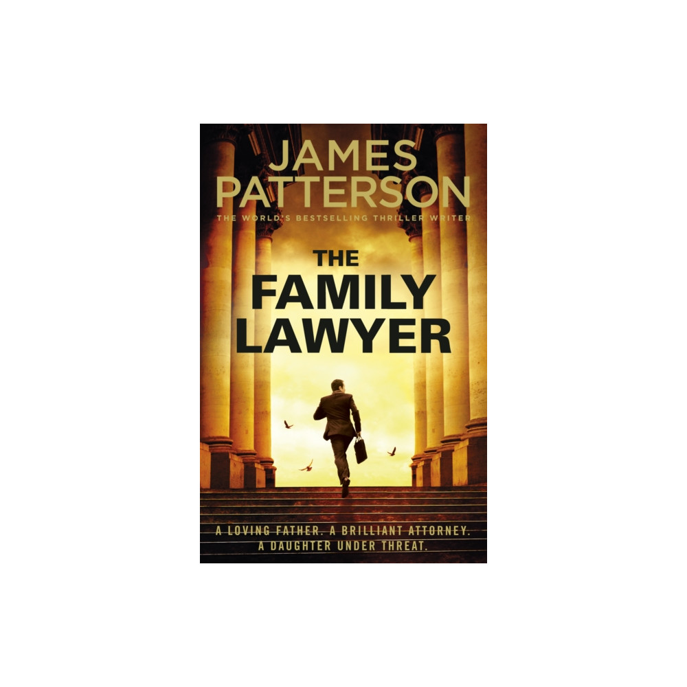 Produktbild för The Family Lawyer (häftad, eng)