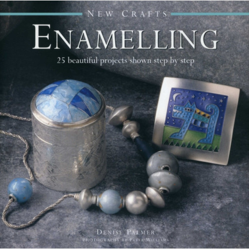 Anness publishing New Crafts: Enamelling (inbunden, eng)