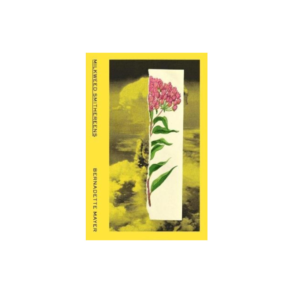Produktbild för Milkweed Smithereens (häftad, eng)