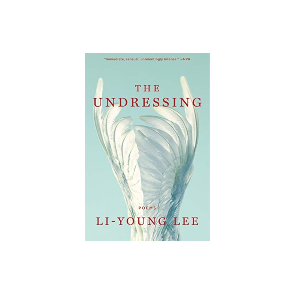 Produktbild för The Undressing (häftad, eng)