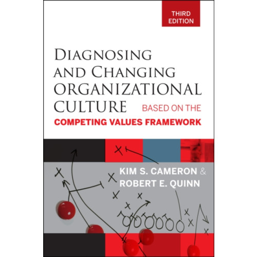 John Wiley & Sons Inc Diagnosing and Changing Organizational Culture (häftad, eng)