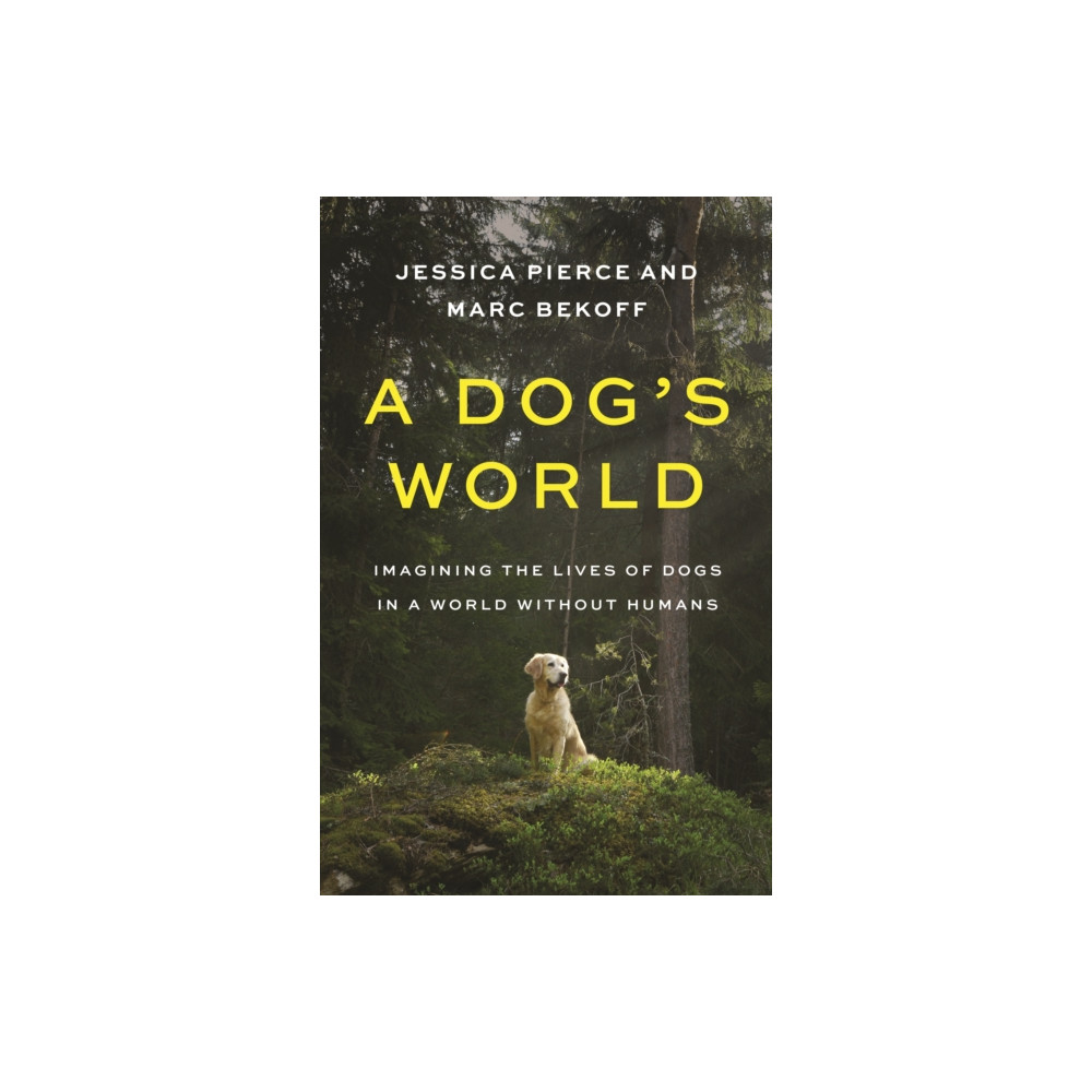 Produktbild för A Dog's World (häftad, eng)