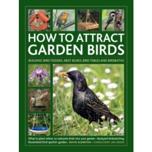 Anness publishing How to Attract Garden Birds (inbunden, eng)