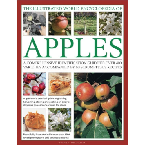 Anness publishing Illustrated World Encyclopedia of Apples (inbunden, eng)