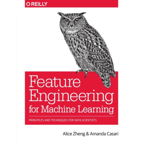 O'Reilly Media Feature Engineering for Machine Learning (häftad, eng)